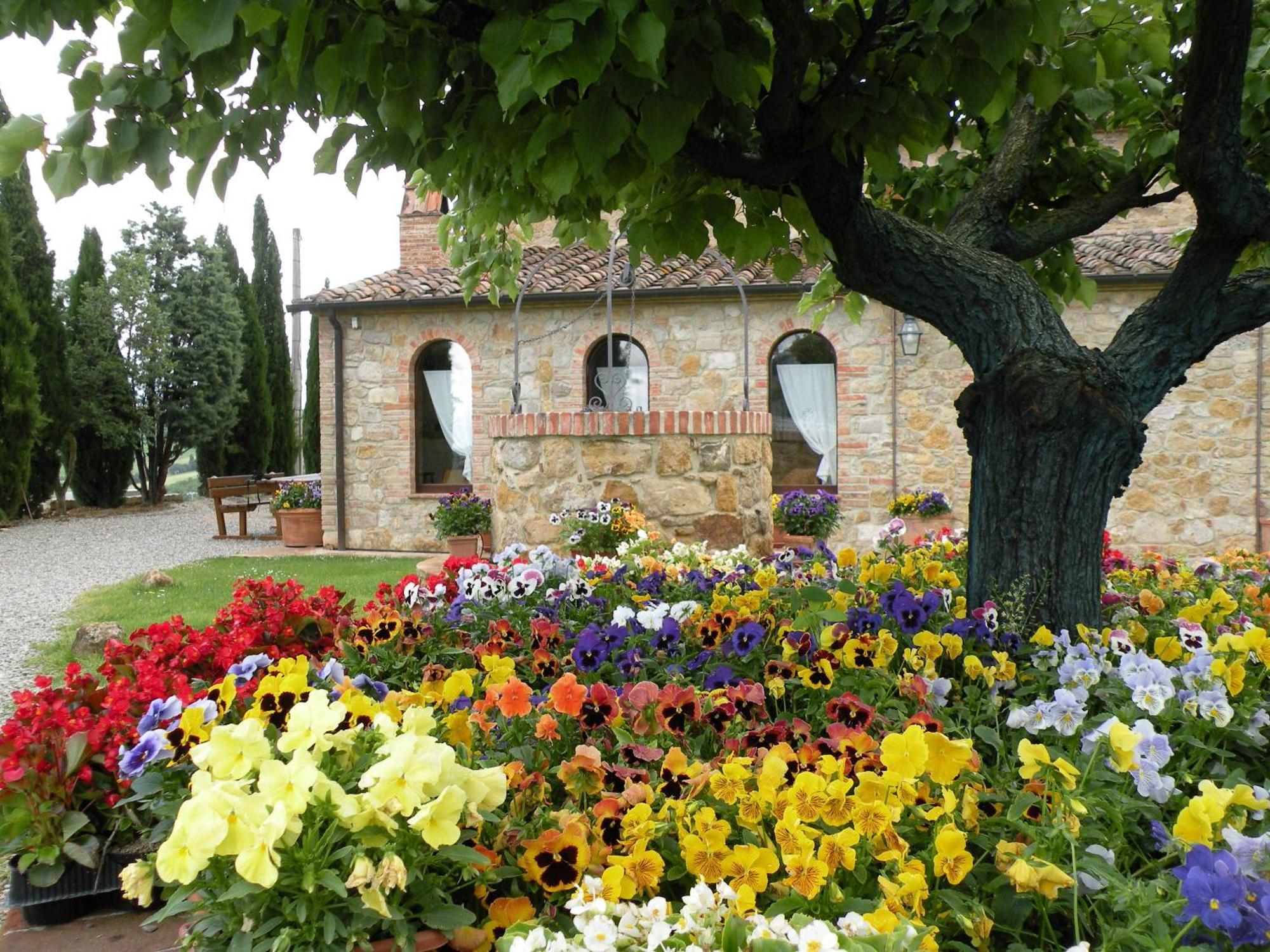 Agriturismo Bonello Pienza Eksteriør billede