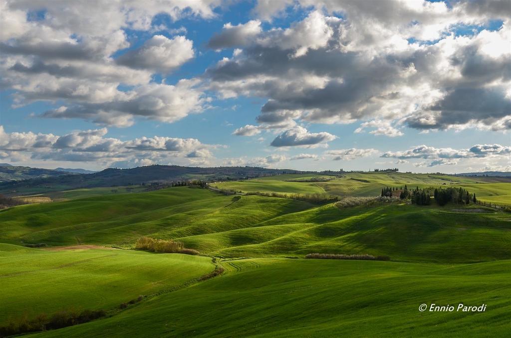 Agriturismo Bonello Pienza Eksteriør billede
